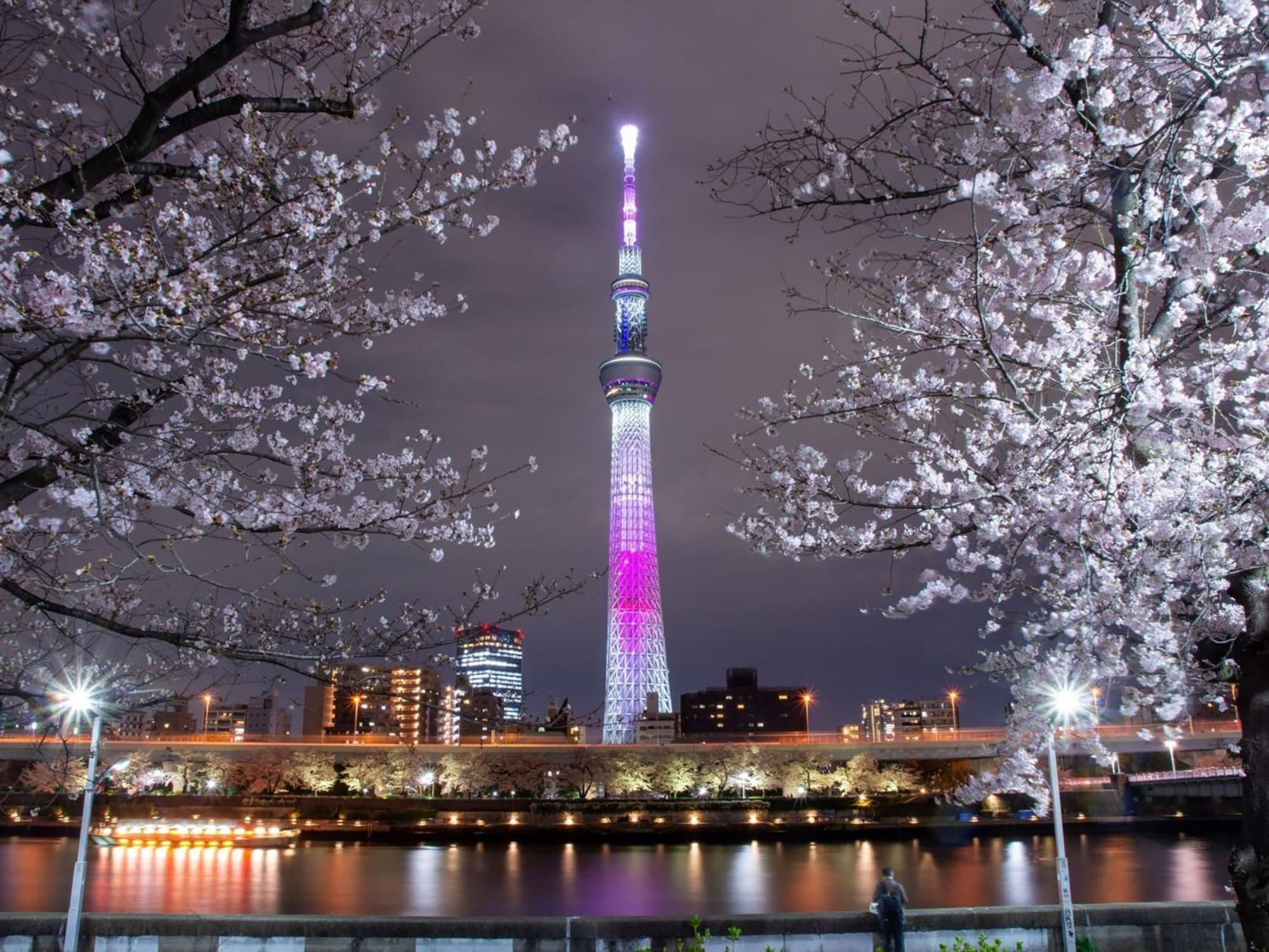 Rakuten Stay Tokyo Asakusa Twin Room المظهر الخارجي الصورة